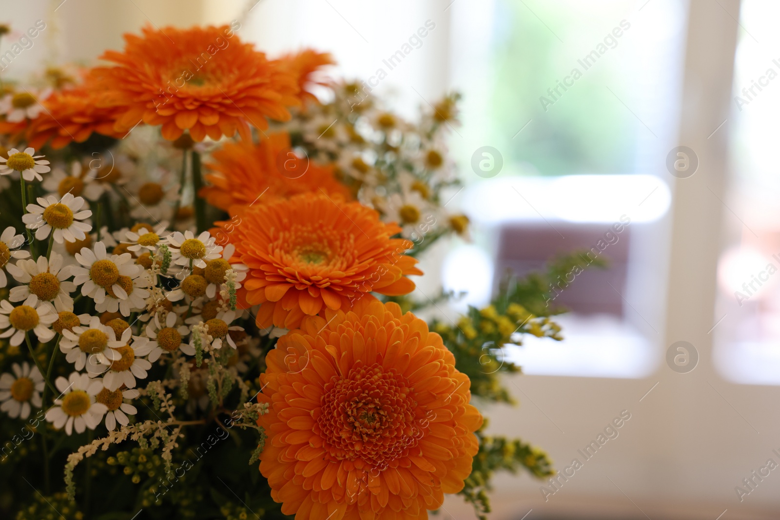 Photo of Fresh bouquet of chamomile and calendula flowers, closeup. Space for text