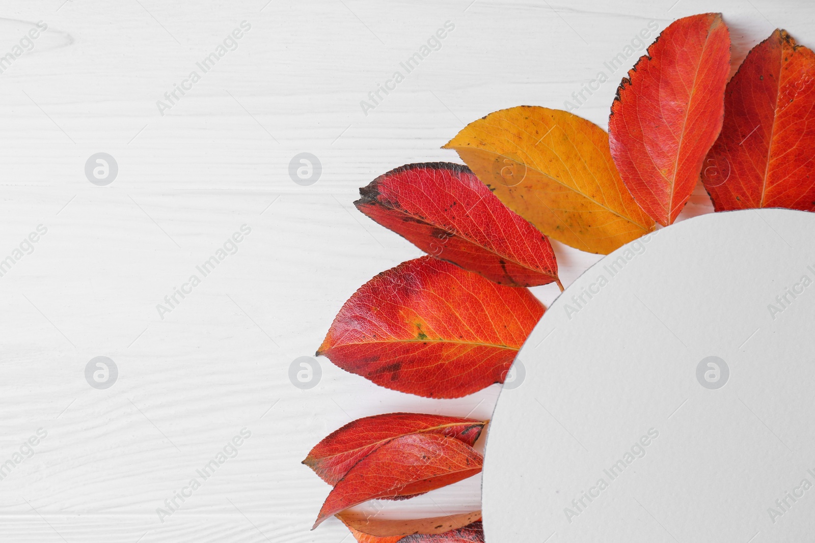 Photo of Flat lay composition with blank card and autumn leaves on white wooden table. Space for text