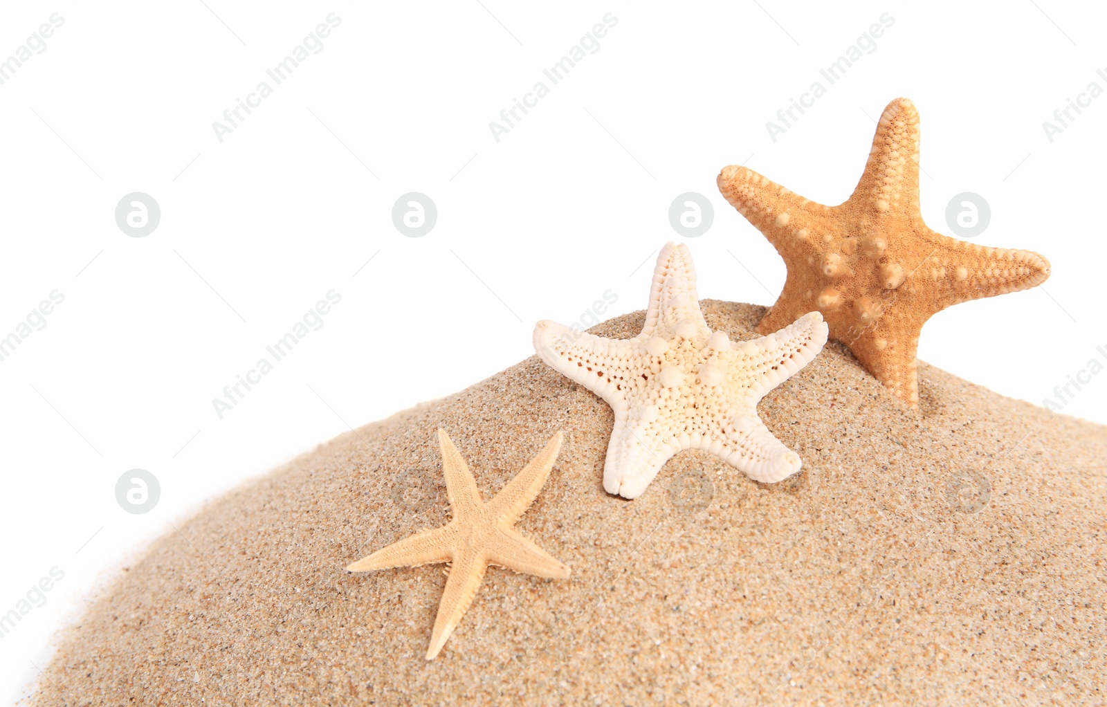 Photo of Sand with many beautiful sea stars isolated on white