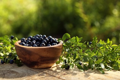 Photo of Bowl of bilberries and green twigs with ripe berries on wooden table outdoors