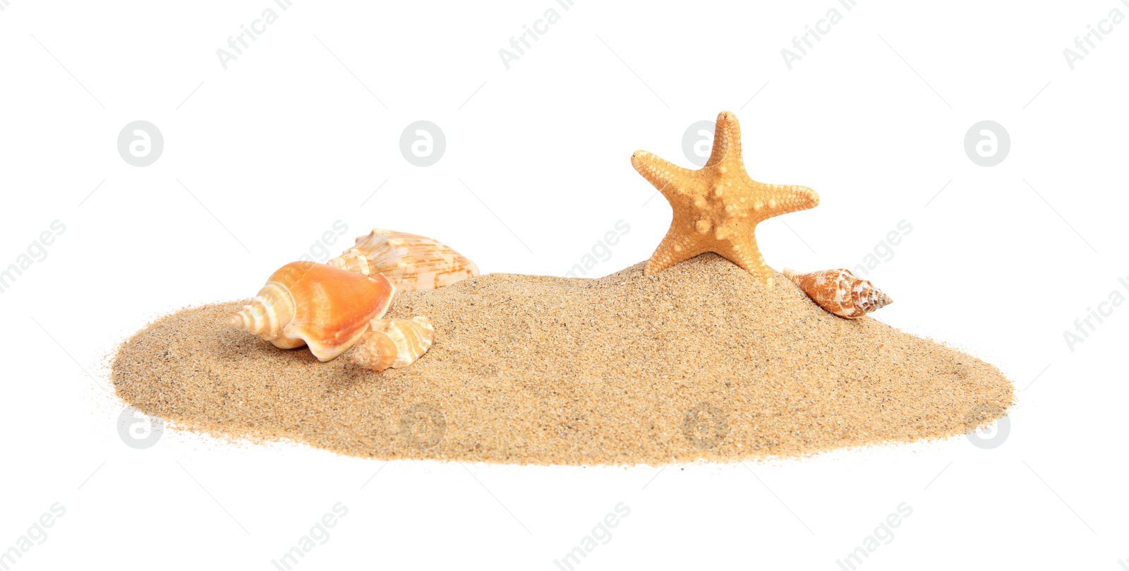 Photo of Beautiful sea star, shells and sand isolated on white