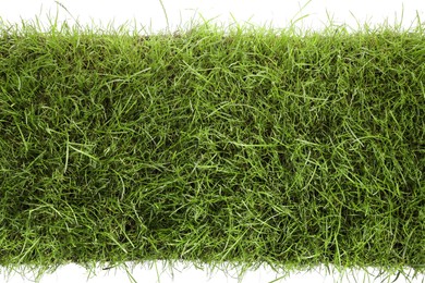 Photo of Beautiful green grass on white background, top view