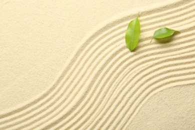 Photo of Zen rock garden. Wave pattern and green leaves on beige sand, top view