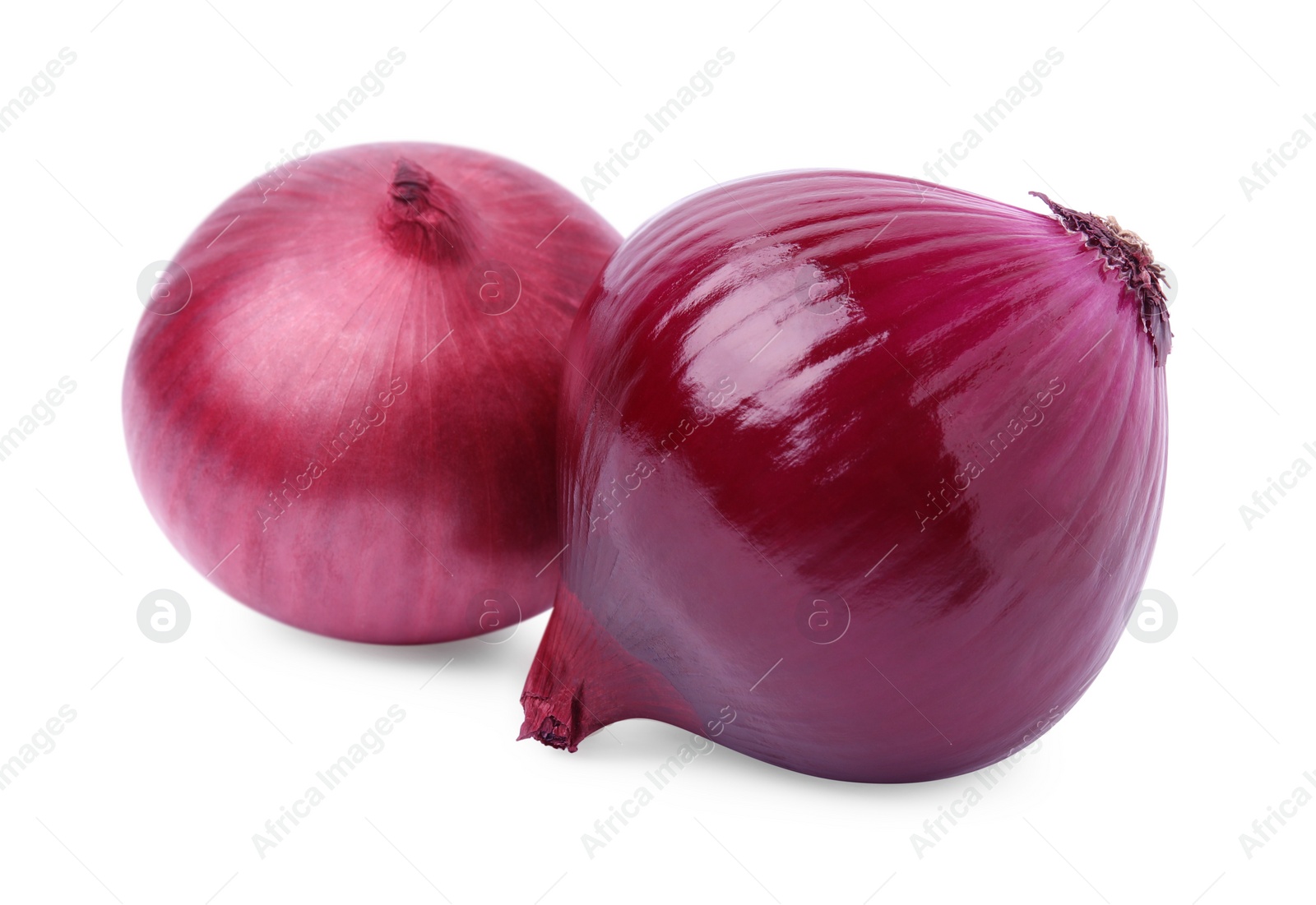 Photo of Two fresh red onions on white background