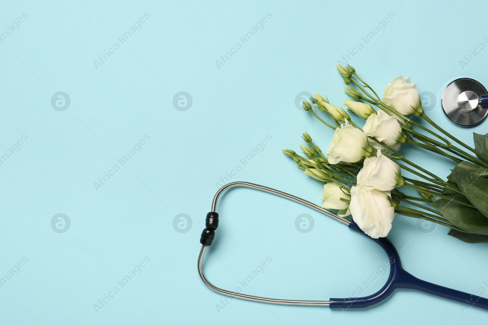 Photo of Stethoscope and beautiful eustoma flowers on light blue background, flat lay with space for text. Happy Doctor's Day