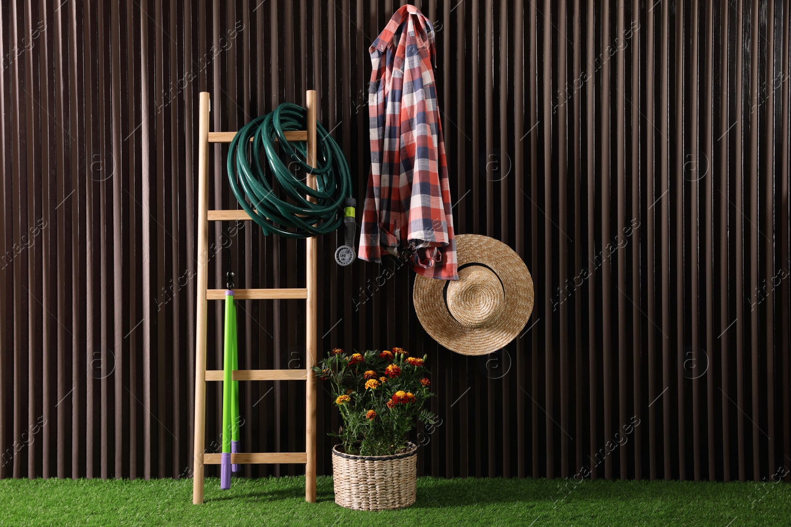 Photo of Beautiful blooming marigolds, gardening tools and accessories on green grass near wood slat wall