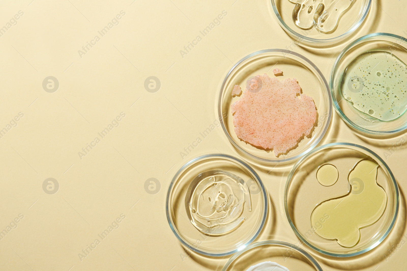 Photo of Many Petri dishes and cosmetic products on beige background, flat lay. Space for text