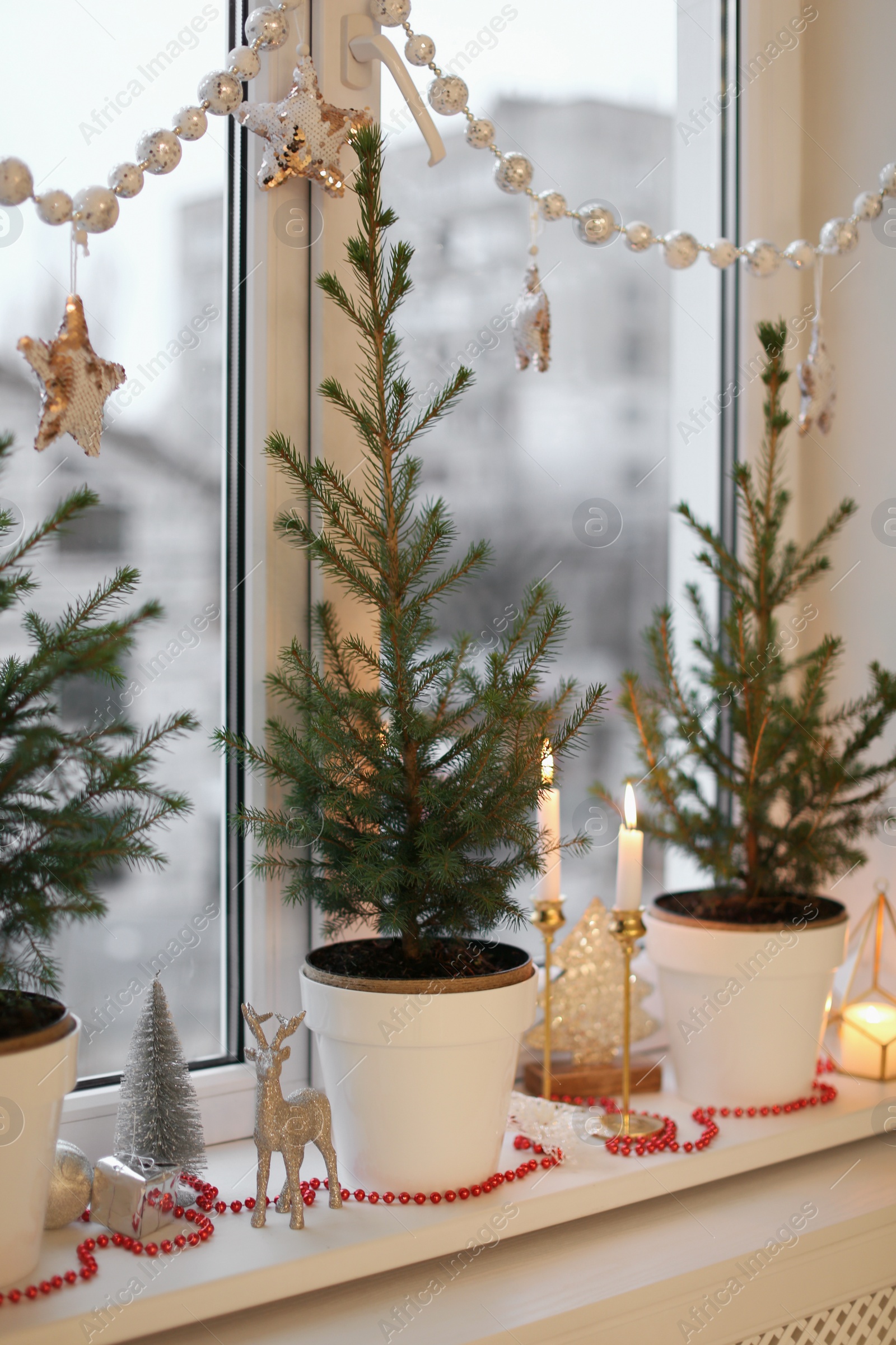 Photo of Small potted fir trees and Christmas decor on window sill indoors