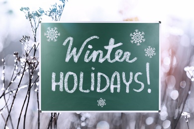 Text Winter Holidays and snowflakes on school chalkboard against dry grass covered with hoarfrost