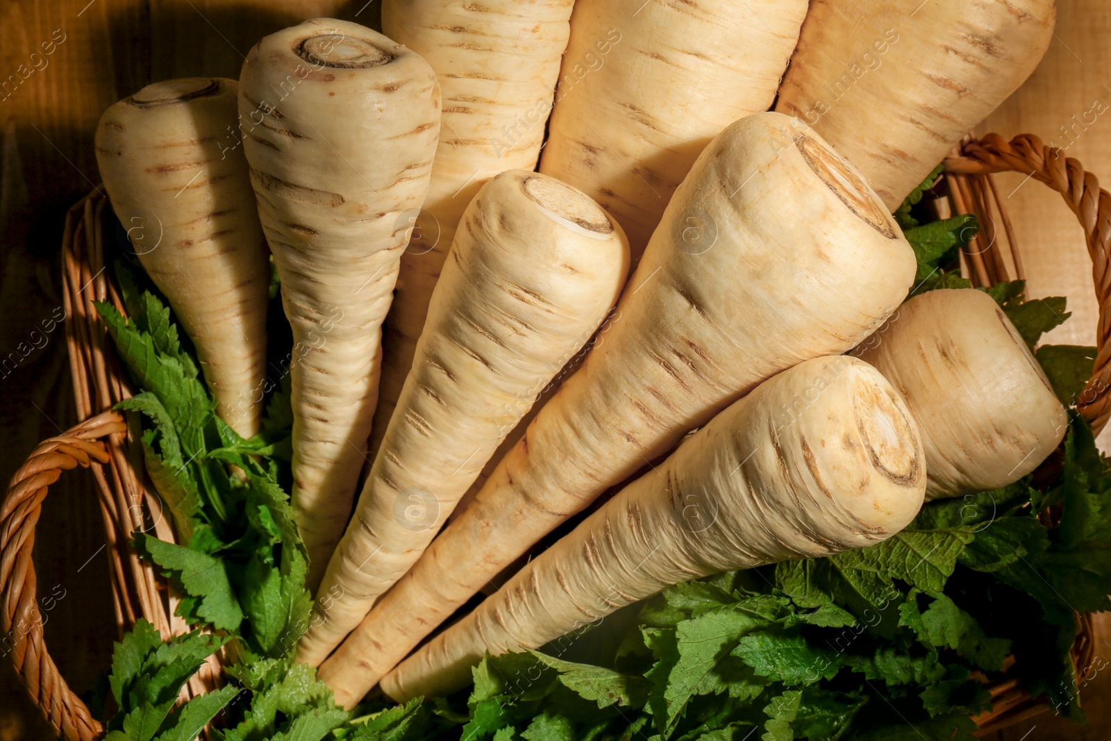 Photo of Wicker basket with delicious fresh ripe parsnips and green leaves on wooden table, top view