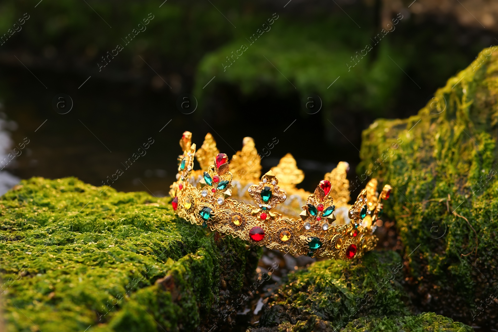 Photo of Beautiful golden crown on stones with green moss outdoors. Fantasy item