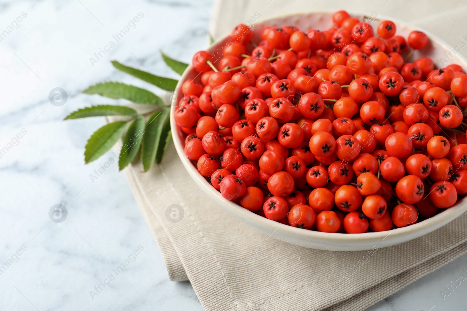 Photo of Fresh ripe rowan berries in bowl on white marble table