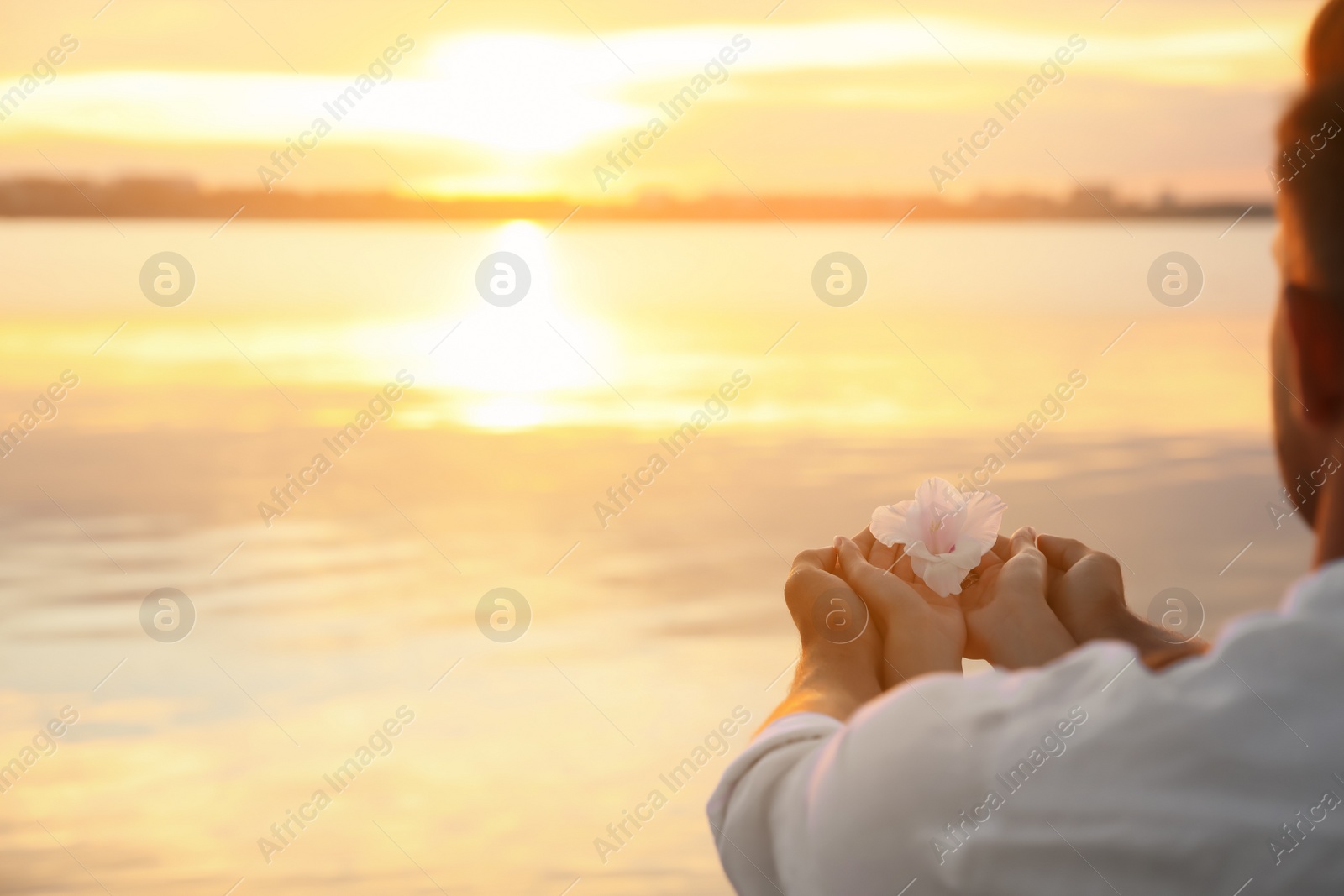 Photo of Couple holding beautiful flower near river at sunset, closeup view with space for text. Nature healing power