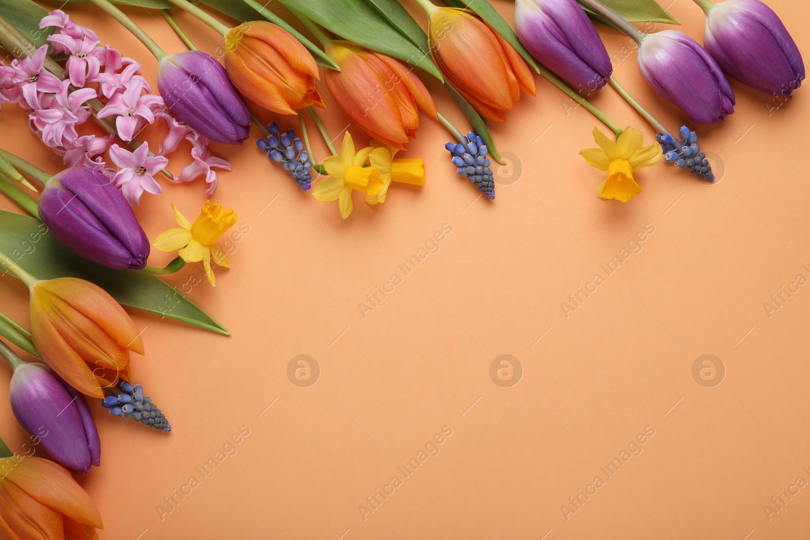 Photo of Beautiful different flowers on orange background, flat lay. Space for text