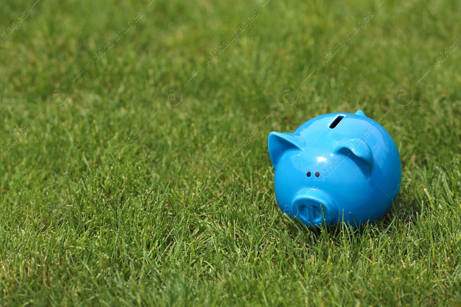 Photo of Cute piggy bank on green grass outdoors. Space for text