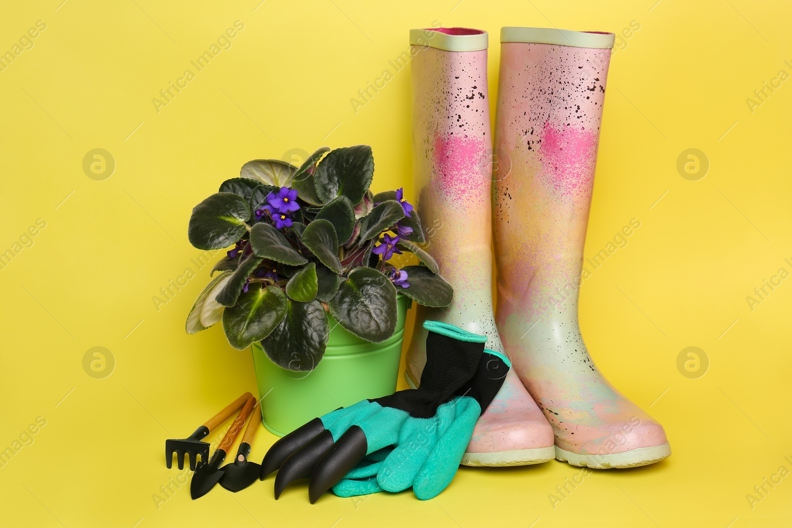 Photo of Gardening gloves, gumboots and tools near bucket with houseplant on yellow background