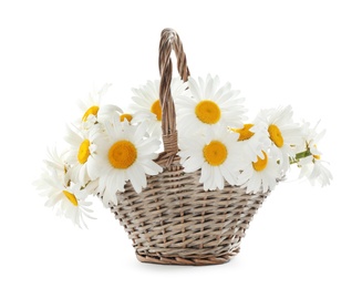 Photo of Wicker basket with beautiful chamomile flowers on white background