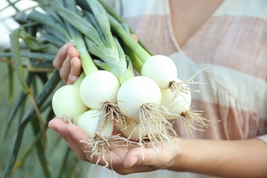 Photo of Woman holding fresh green onions outdoors, closeup