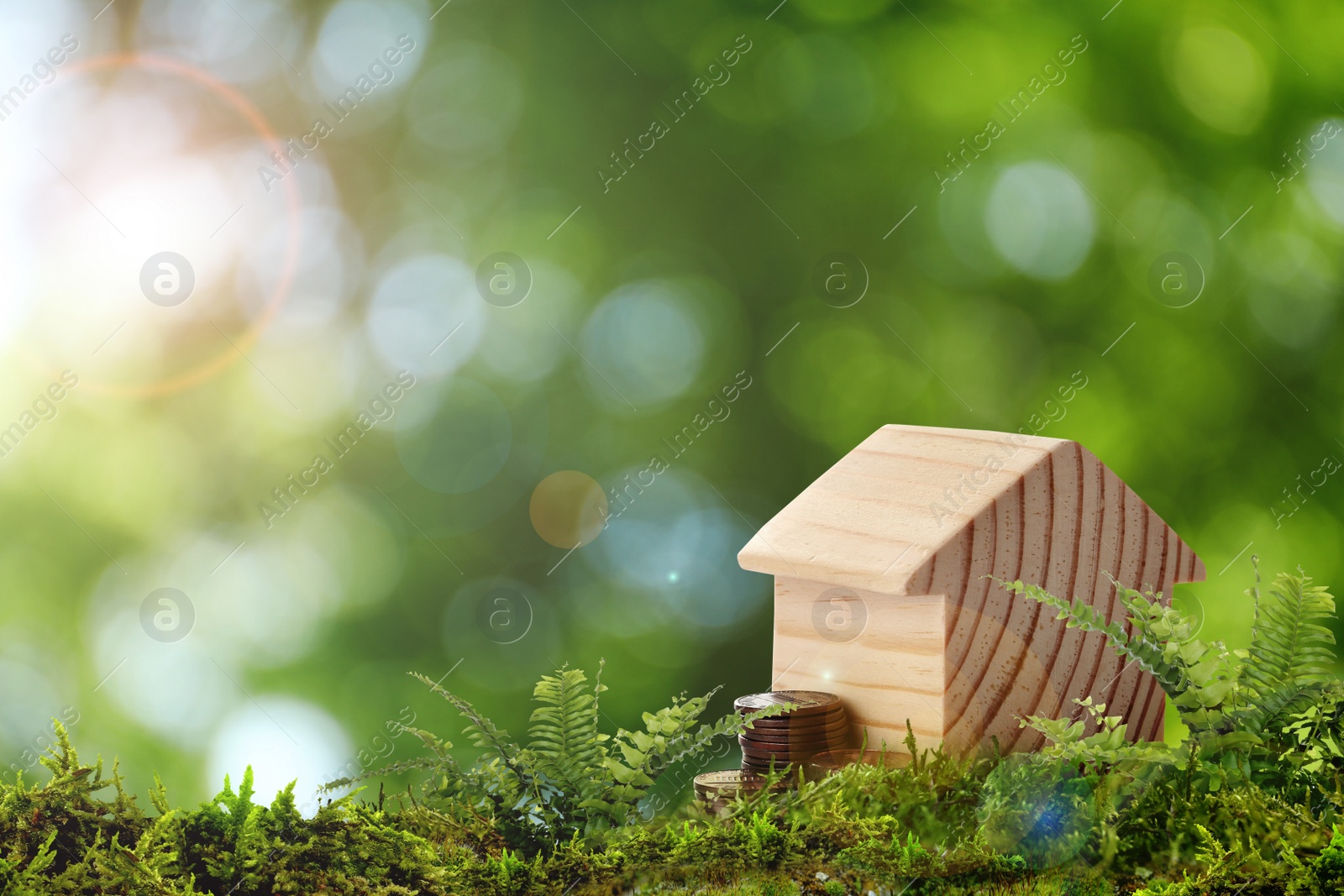 Image of Eco friendly home. House model and coins on green grass outdoors, space for text