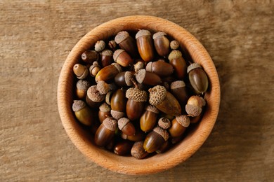 Bowl of acorns on wooden table, top view