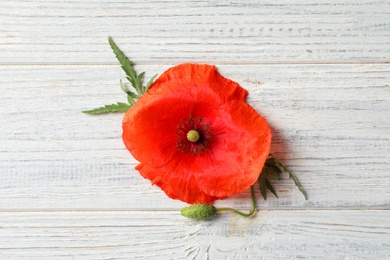 Poppy flower and leaves on white wooden table, top view