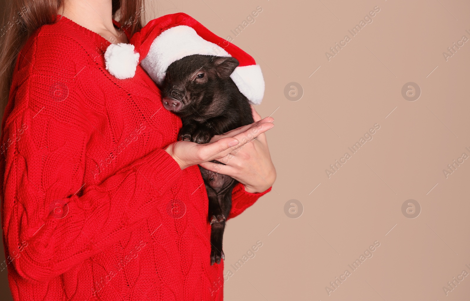 Photo of Woman holding mini pig with Santa hat on color background, closeup. Space for text