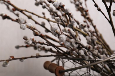 Photo of Beautiful blooming willow branches on light grey background, closeup