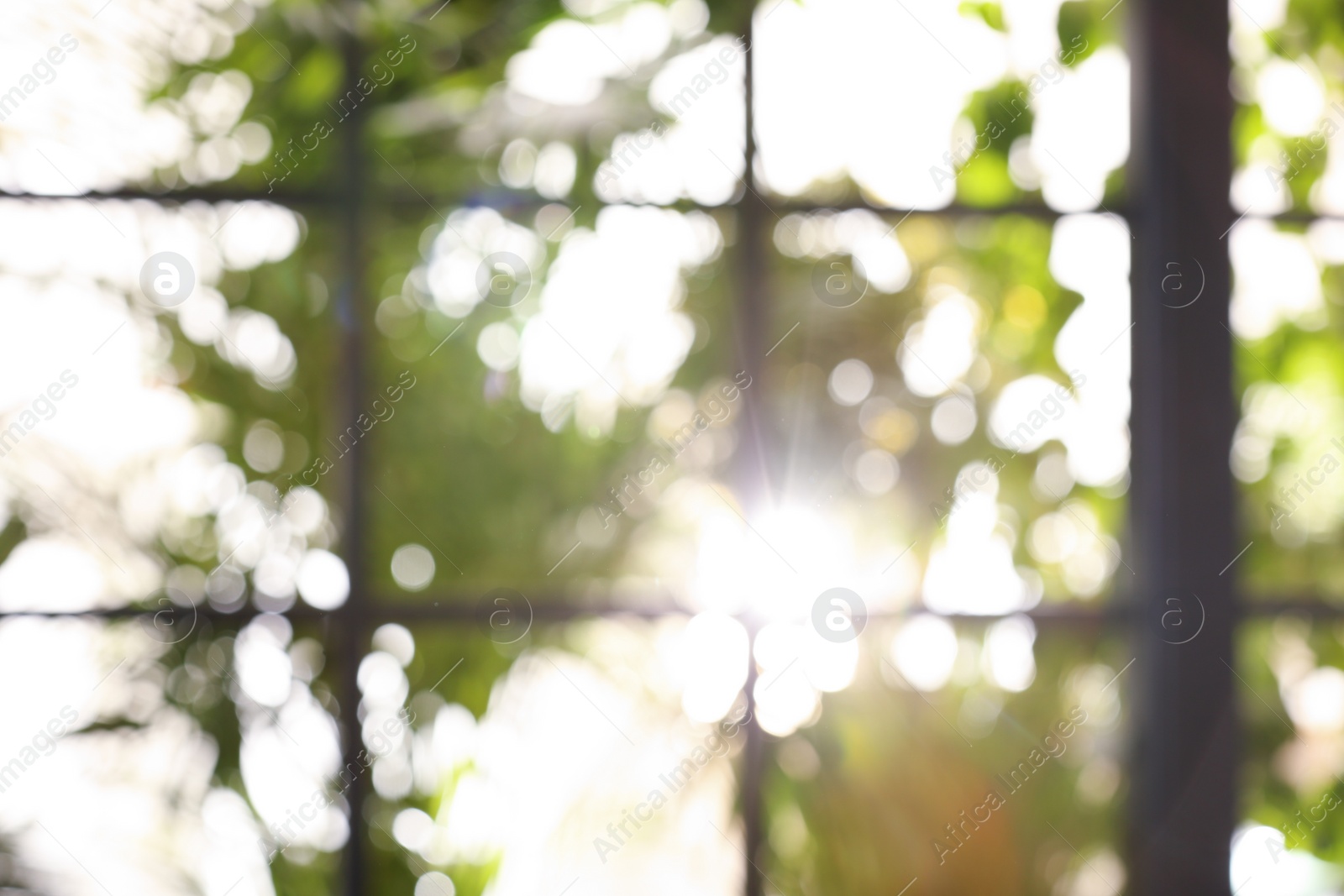 Photo of Blurred view through window on garden in morning