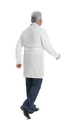 Senior doctor walking on white background, back view