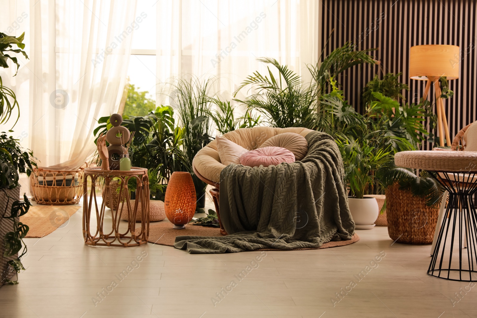 Photo of Indoor terrace interior with soft papasan chair and green plants