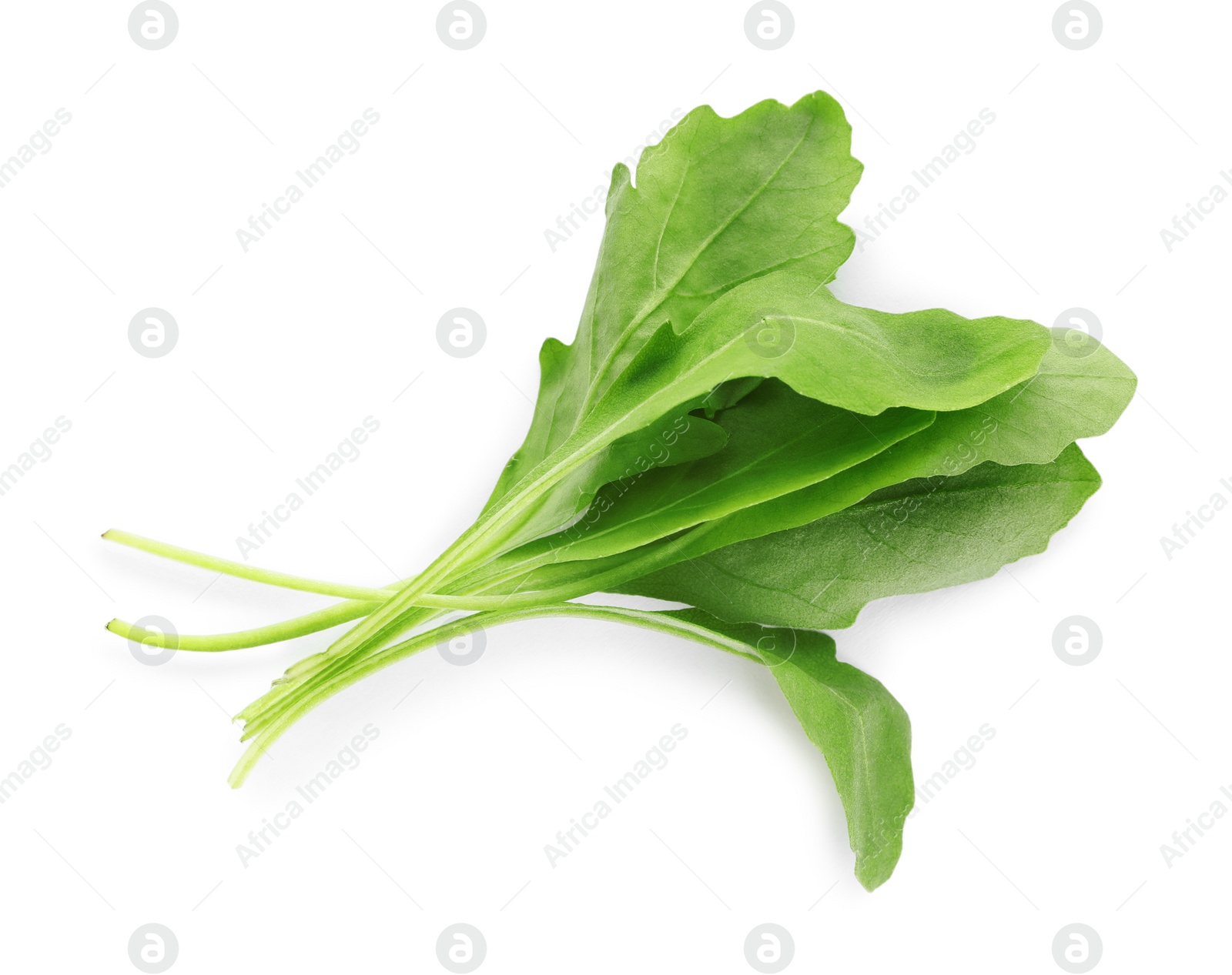 Photo of Fresh arugula on white background, top view