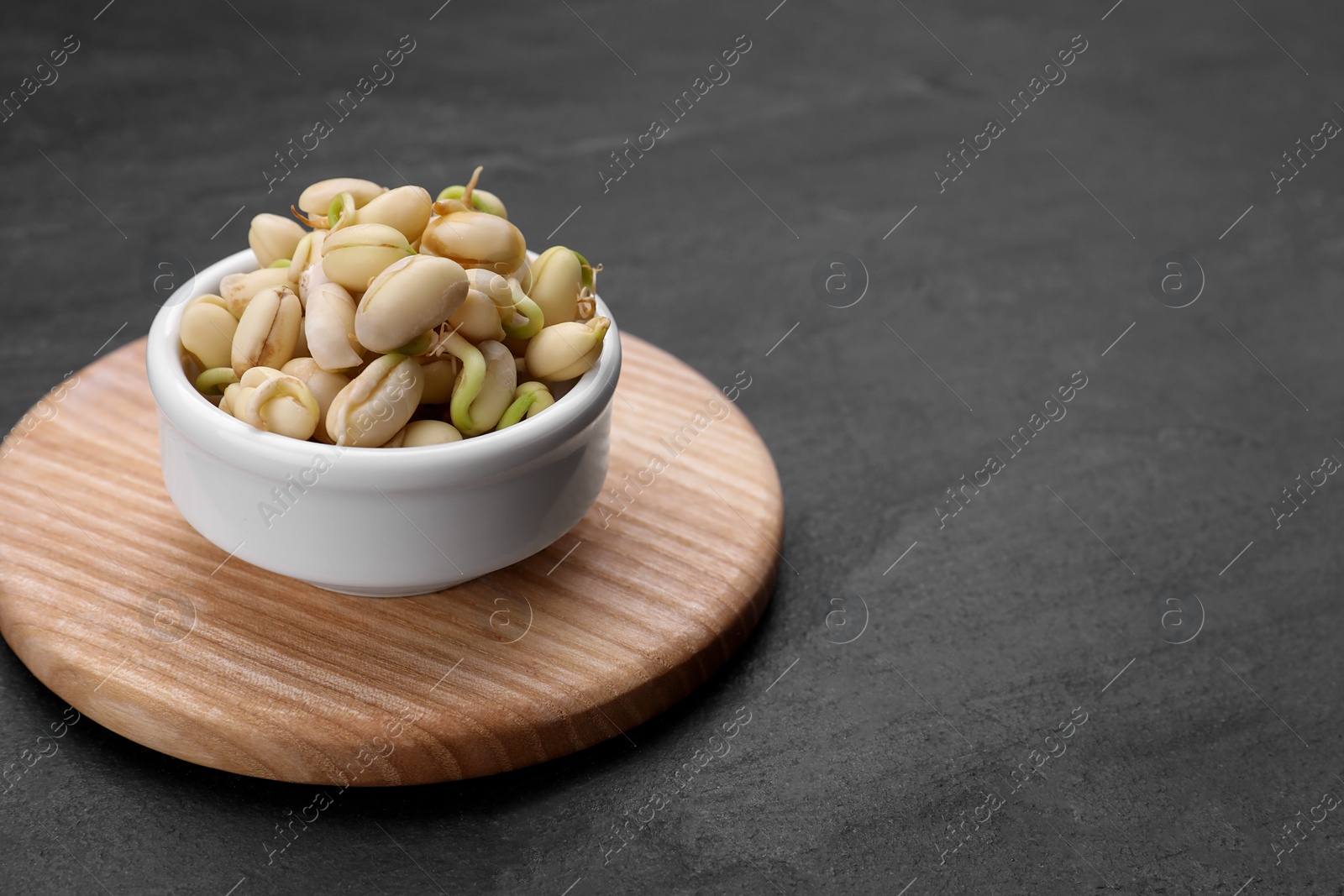 Photo of Sprouted kidney beans in bowl on black table, closeup. Space for text