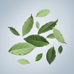 Fresh bay leaves falling on dusty light blue background