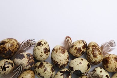 Speckled quail eggs and feathers on white background, flat lay. Space for text