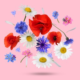 Image of Beautiful meadow flowers falling on pink background
