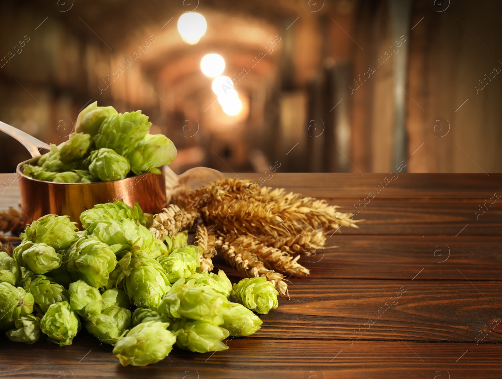 Image of Fresh hops and wheat spikes on wooden table in beer cellar, space for text