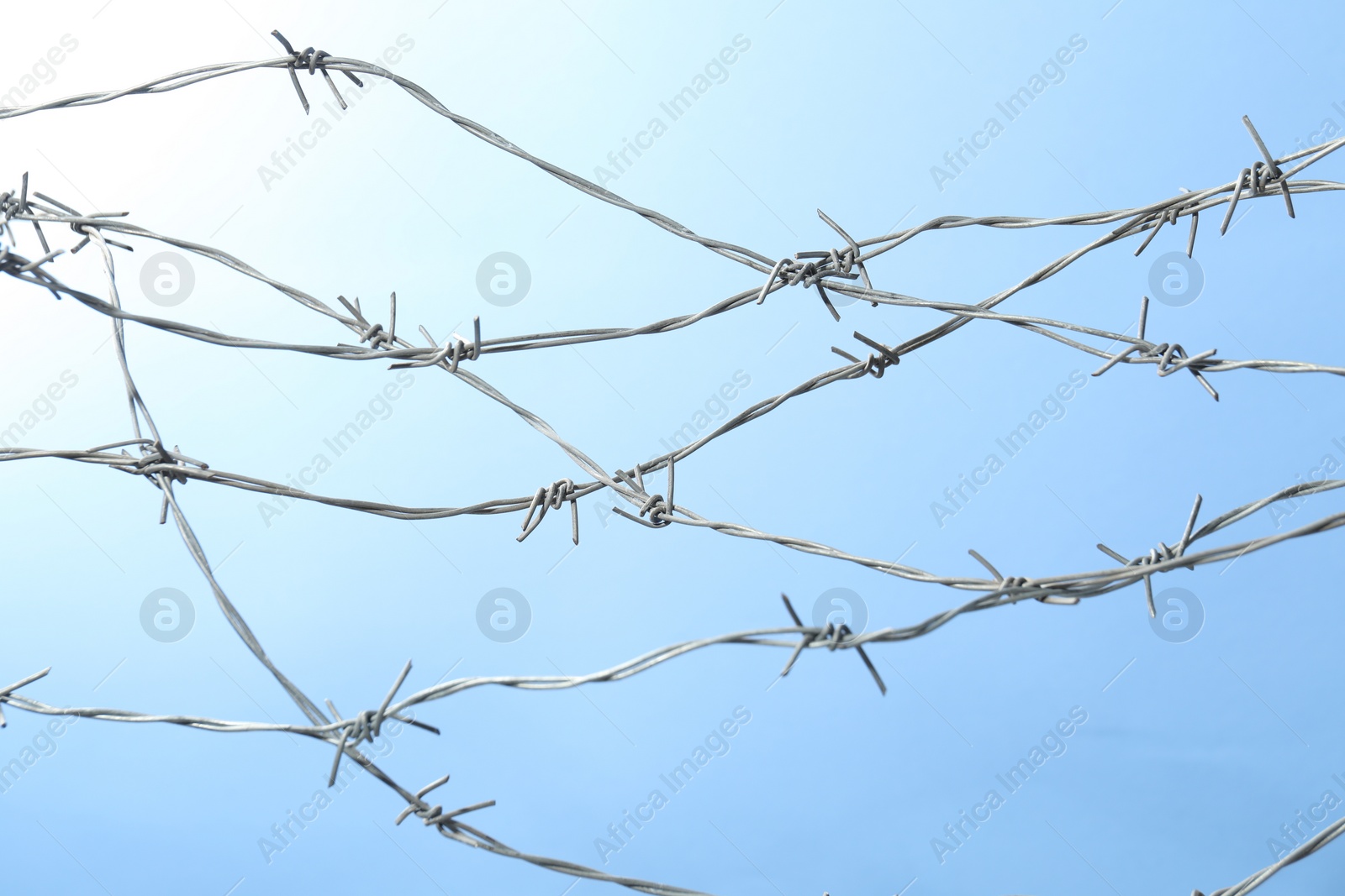 Photo of Metal barbed wire on light blue background