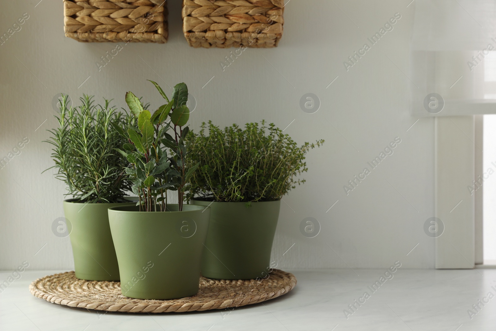 Photo of Different aromatic potted herbs on countertop in kitchen