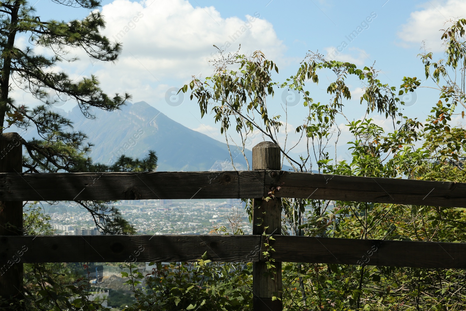 Photo of Wooden fence near beautiful trees and plants outdoors