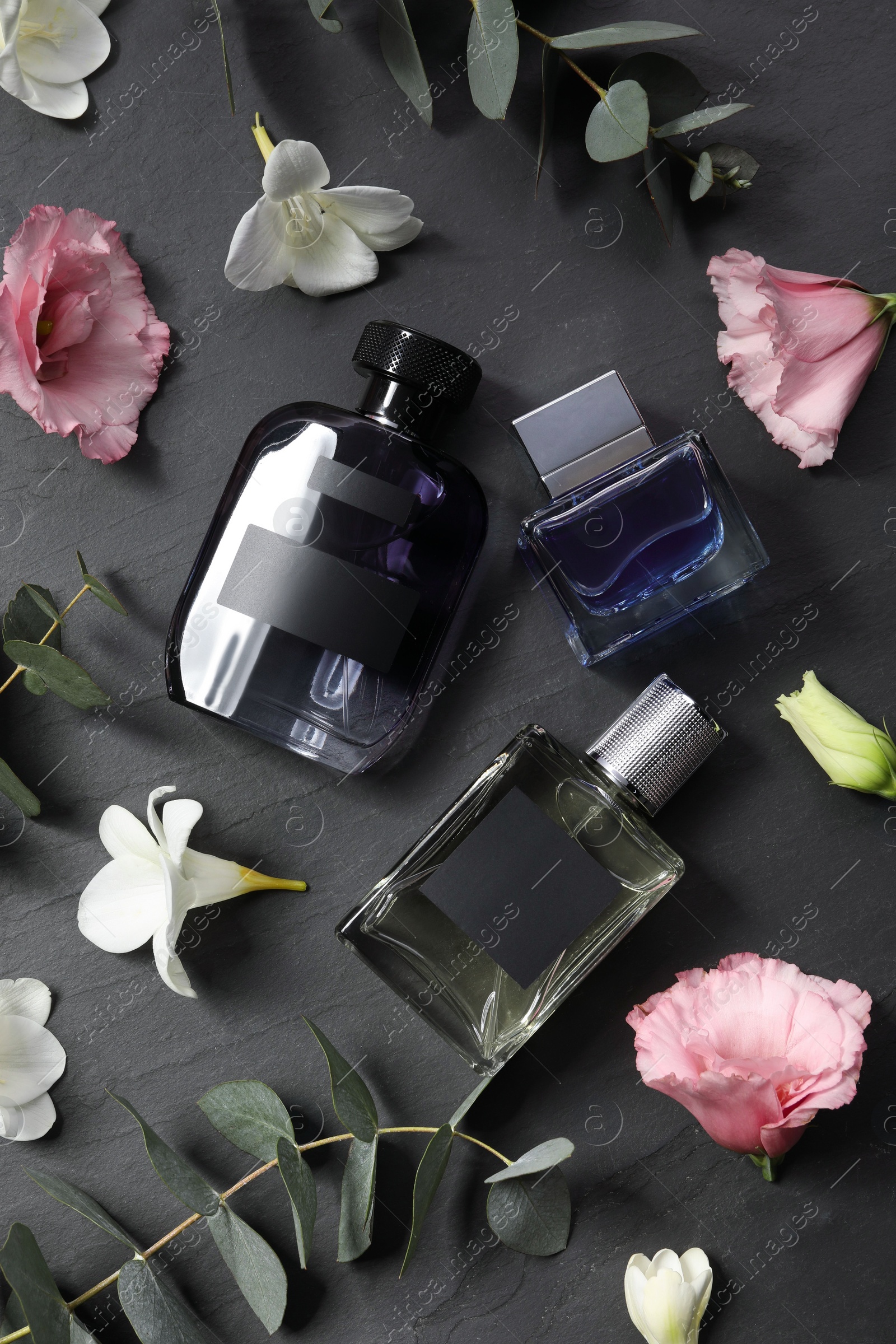 Photo of Luxury perfumes and floral decor on black table, flat lay