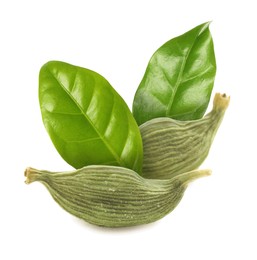 Image of Dry cardamom pods and green leaves on white background