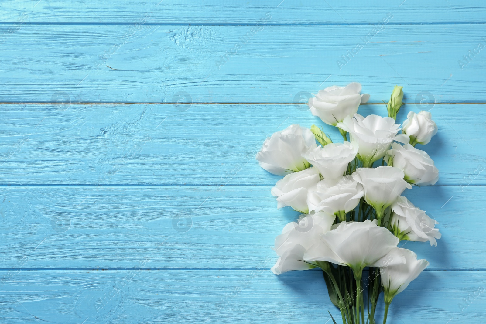 Photo of Flat lay composition with beautiful Eustoma flowers on wooden background