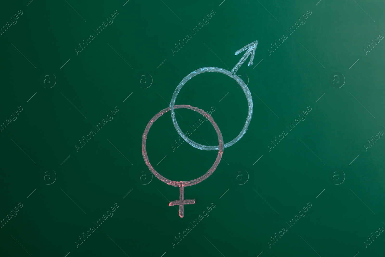 Photo of Gender symbols drawn on green chalkboard. Sex education