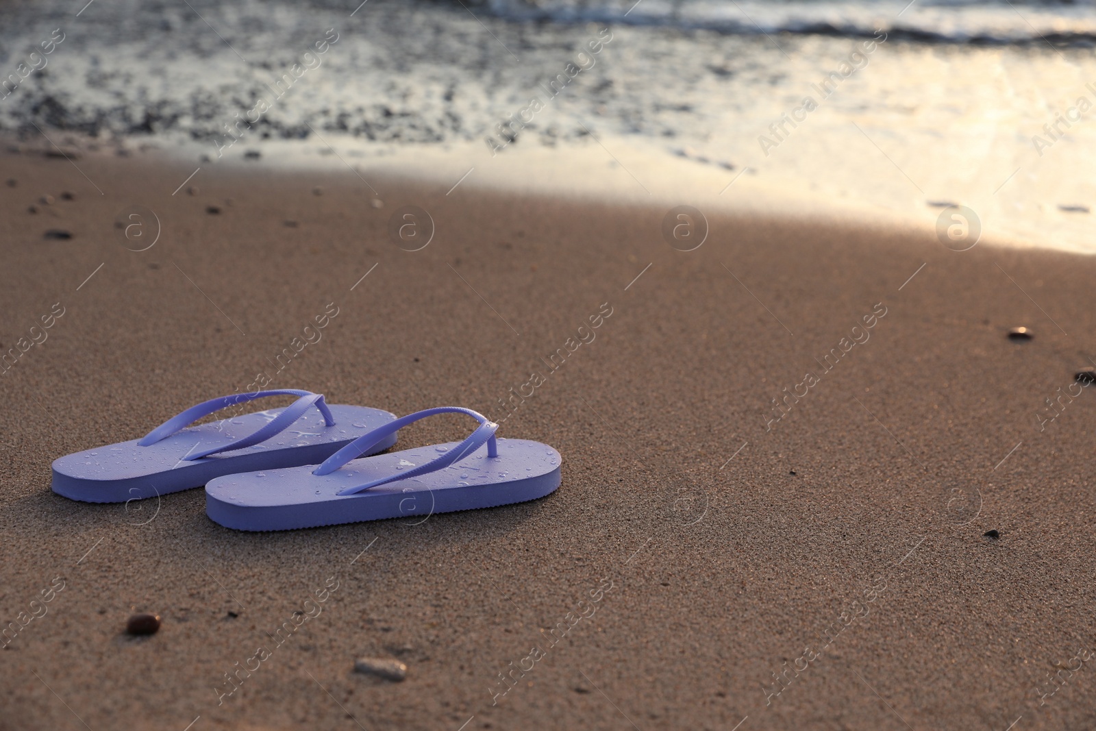 Photo of Stylish lilac flip flops on sand near sea. Space for text