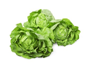 Photo of Fresh green butter lettuce heads isolated on white