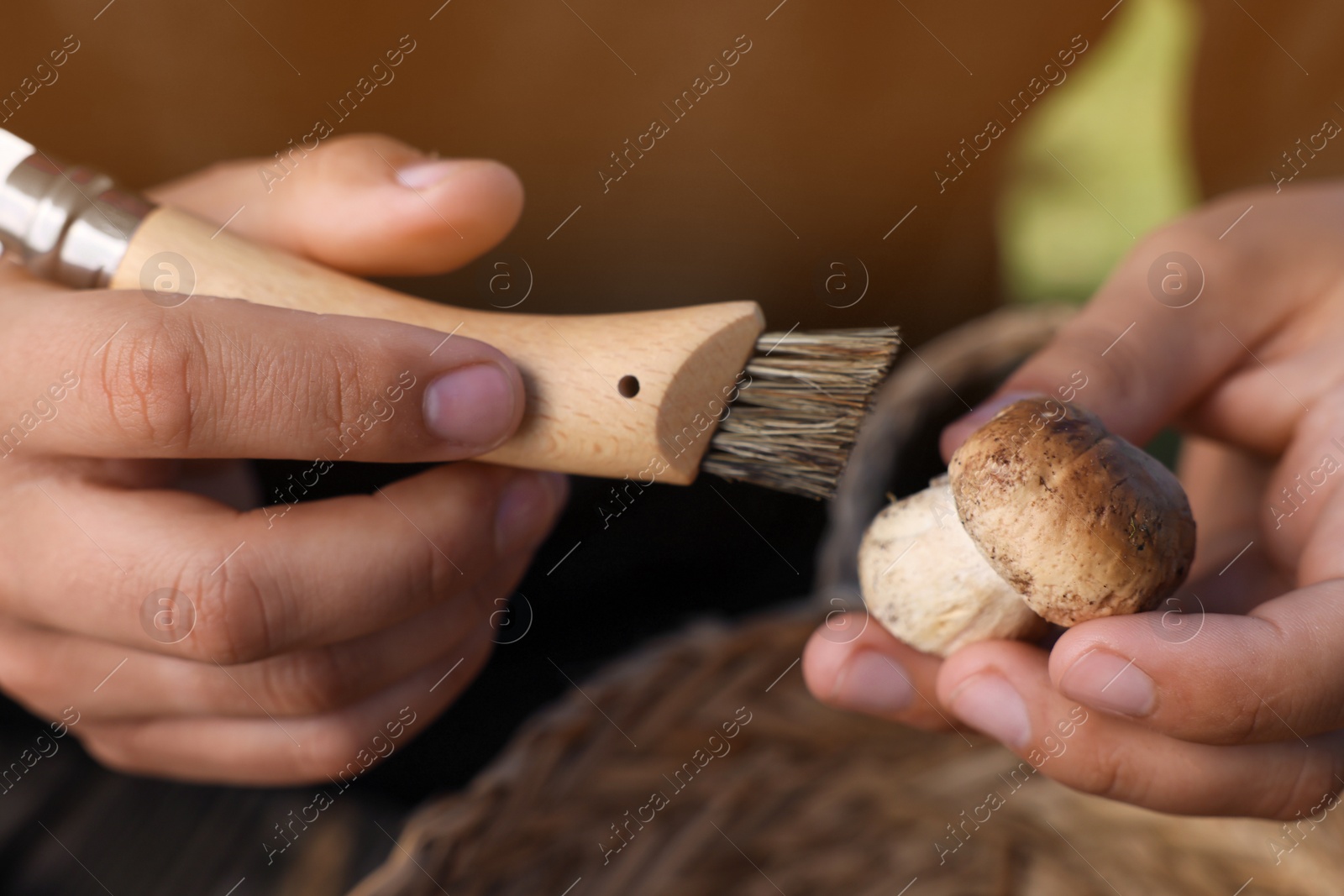 Photo of Man cleaning mushroom with brush, closeup view