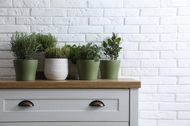 Photo of Different aromatic potted herbs on chestdrawers near white brick wall