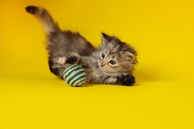 Photo of Cute kitten playing with ball on yellow background