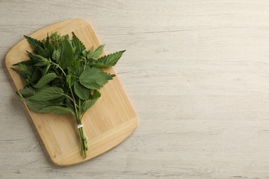 Fresh stinging nettles on white wooden table, top view. Space for text