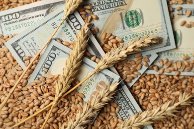 Photo of Dollar banknotes and wheat ears on grains, above view. Agricultural business